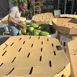 Plenty of fresh watermelons.