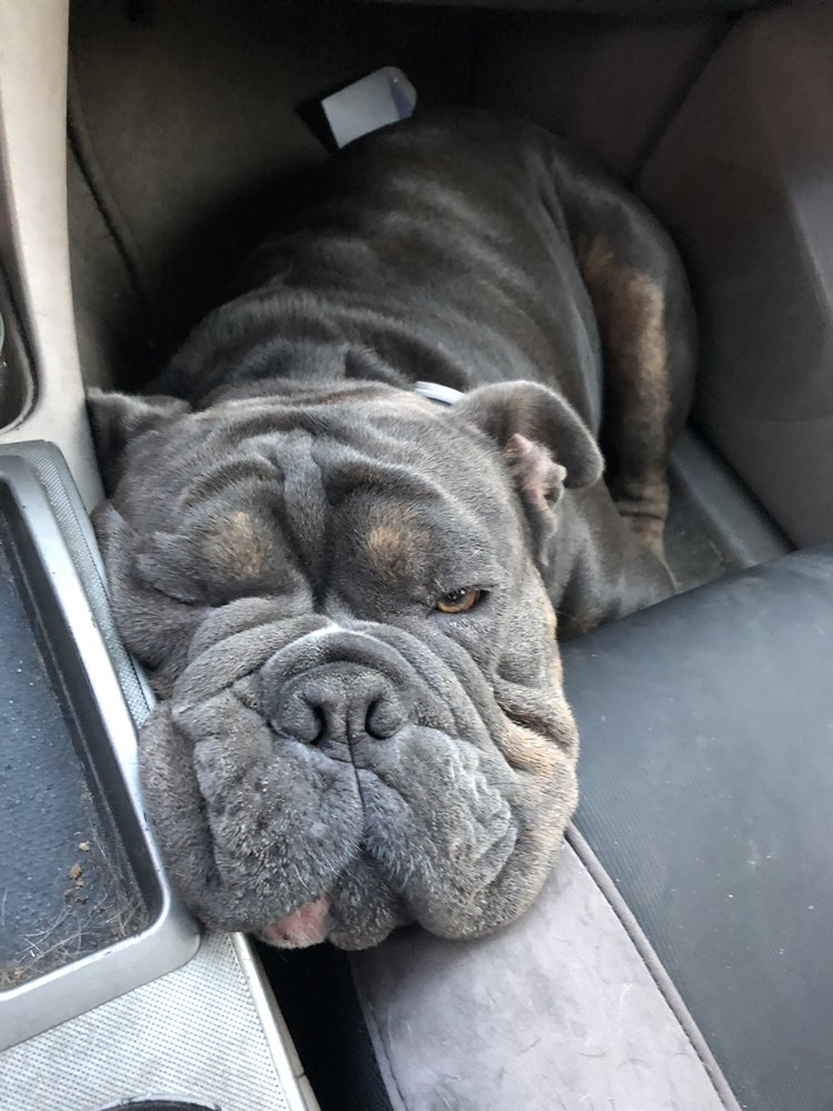 Pet Food Express 55 Photos & 136 Reviews Pet Stores 6925 Mission St, Daly City, CA Phone