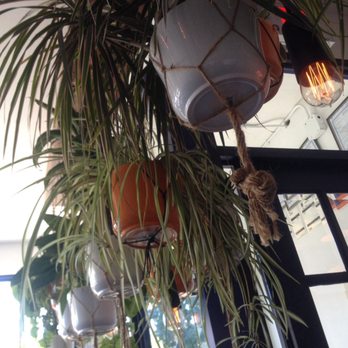 Burdock - Loved the hanging plants - Breweries Near Me - Toronto, Ontario