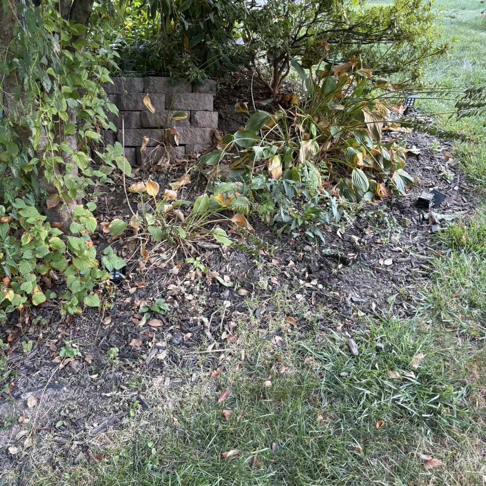 TruScape - Lawn Services Near Me - Greensburg, Pennsylvania TruScape - Lawn Services Near Me - Greensburg, Pennsylvania