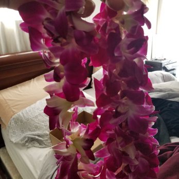 Allen's Flowers & Plants - La Mesa - Clearly one side is fluffier - Florists Near Me - La Mesa, California