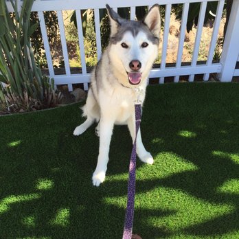 Install It Direct - Landscaping Near Me - Encinitas, California