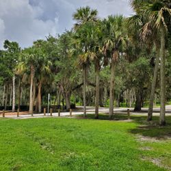 White City Park - Bill Lewis checking out this hidden gem - the White City Park in Fort Pierce.