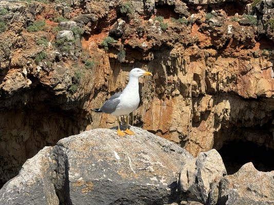 Boca do Inferno - Devil’s Mouth by null