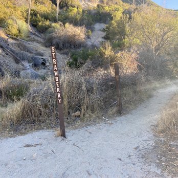 Strawberry Peak - Start of the trail across hwy 2 from Red Box picnic area parking lot. - Hiking Near Me - Los Angeles, California Strawberry Peak - Start of the trail across hwy 2 from Red Box picnic area parking lot. - Hiking Near Me - Los Angeles, California