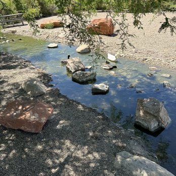 Riparian Preserve at Water Ranch - Parks Near Me - Gilbert, Arizona