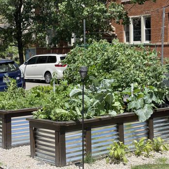North Center Neighbors Association - A renter's space, with a lush vegetable garden. - Community Service/Non-Profit Near Me - Chicago, Illinois North Center Neighbors Association - A renter's space, with a lush vegetable garden. - Community Service/Non-Profit Near Me - Chicago, Illinois