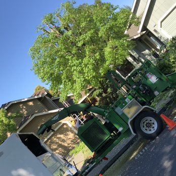 Salinas Tree Care - Tree Services Near Me Salinas Tree Care - Tree Services Near Me