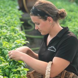 Rainbow Farms - Beth!