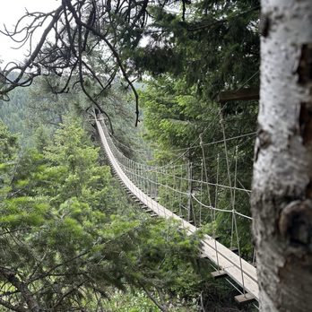 Timberline Adventures - Tours Near Me - Coeur d'Alene, Idaho Timberline Adventures - Tours Near Me - Coeur d'Alene, Idaho