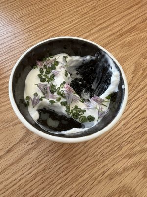 Maude & the Bear by null