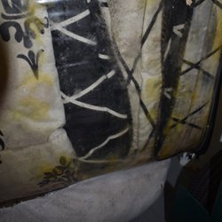 Life Storage - Tampa - Yellow = rat urine