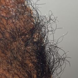 WaxedbyDomo