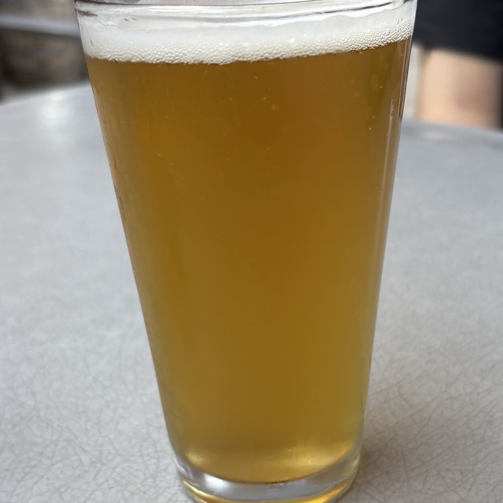 Terrestrial Brewing - Habanero Citropapotomus - Breweries Near Me - Cleveland, Ohio Terrestrial Brewing - Habanero Citropapotomus - Breweries Near Me - Cleveland, Ohio