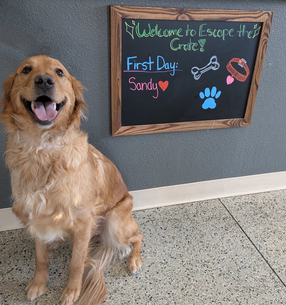 Escape the Crate - Garden City - pet boarding facility in Boise, ID