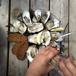 Oesterij - Maud's oysters