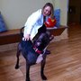 Photo of Summit Animal Hospital