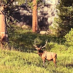 Evergreen Golf Course