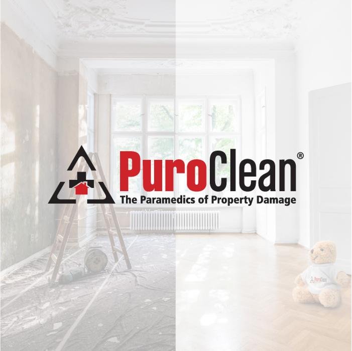 PUROCLEAN NORTH METRO ATLANTA Updated August 2024 110 Londonderry