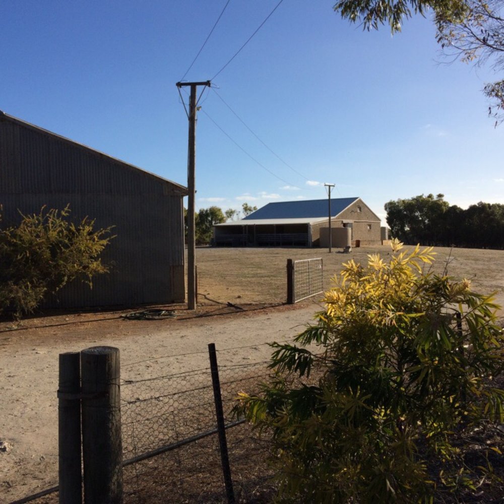 Stranraer Homestead - Have a wander round the farm - Hotels Near Me - Kingscote, SA