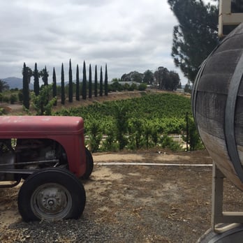 Briar Rose Winery - Beautiful vineyard. Vinn...yerd... Vin...yard..... Words are weird! - Wineries Near Me - Temecula, California