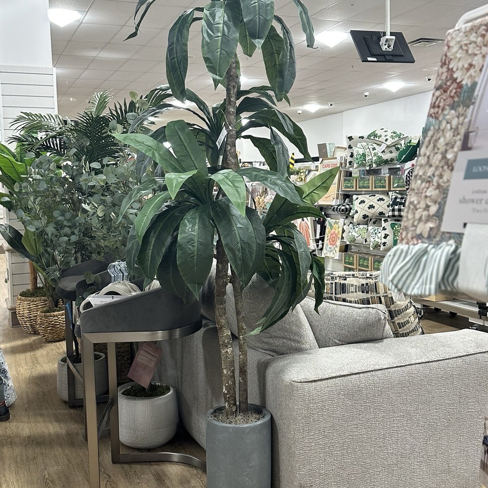 Home Goods - Plants - Department Stores Near Me - Stamford, Connecticut