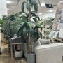Home Goods