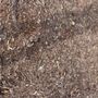 Photo of Franciscos Landscaping