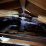 Photo of Attic Guys
