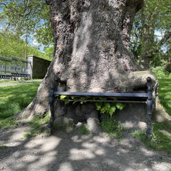 King's Inn Park