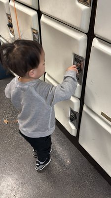 Presidio Bowl by null