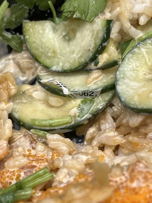 SOHO Sushi Burritos by null