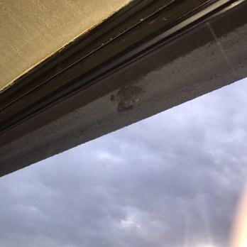 LA Crystal Hotel - Wasp hive outside the windowsill - Hotels Near Me - Carson, California LA Crystal Hotel - Wasp hive outside the windowsill - Hotels Near Me - Carson, California