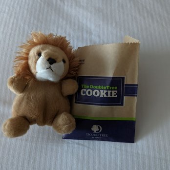 DoubleTree by Hilton Cherry Hill Philadelphia - Cookies on demand - Hotels Near Me - Cherry Hill, New Jersey DoubleTree by Hilton Cherry Hill Philadelphia - Cookies on demand - Hotels Near Me - Cherry Hill, New Jersey