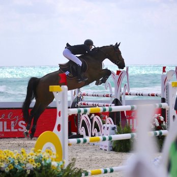 Carriage Hill Farms - Horseback Riding Near Me - Delray Beach, Florida Carriage Hill Farms - Horseback Riding Near Me - Delray Beach, Florida