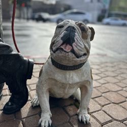 Bullman With Bulldog