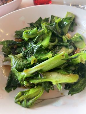 Fat Choy by null