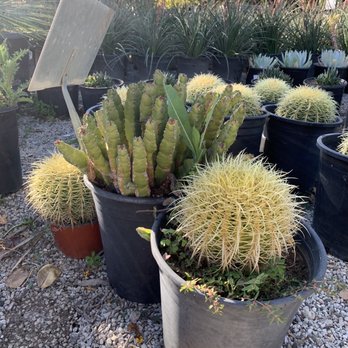 Moon Valley Nurseries - Tree Services Near Me - Irvine, California Moon Valley Nurseries - Tree Services Near Me - Irvine, California