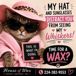 House Of Wax Day Spa