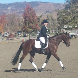 Liston Stables - Our first Dressage Show