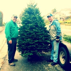 Starlight Christmas Trees - Ralph & David