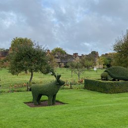 Hever Garden topiaries