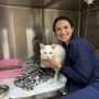 Photo of Pointe 183 Animal Hospital & Urgent Care