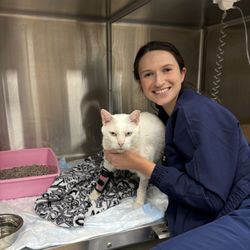 Pointe 183 Animal Hospital & Urgent Care - Extra TLC from Dr. Wilson