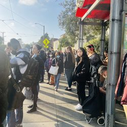 MUNI - L Taraval