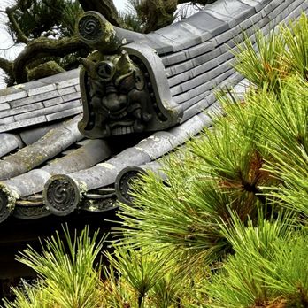 Japanese Tea Garden - In the garden - Tea Rooms Near Me - San Francisco, California