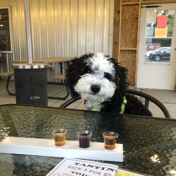 Krooked Tusker Distillery - Distilleries Near Me - Hammondsport, New York