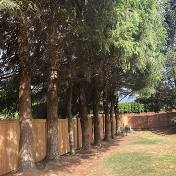 American Tree Care - Tree Services Near Me American Tree Care - Tree Services Near Me