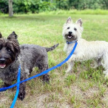 Peace & Unity Pet Care - Dog Walkers Near Me Peace & Unity Pet Care - Dog Walkers Near Me