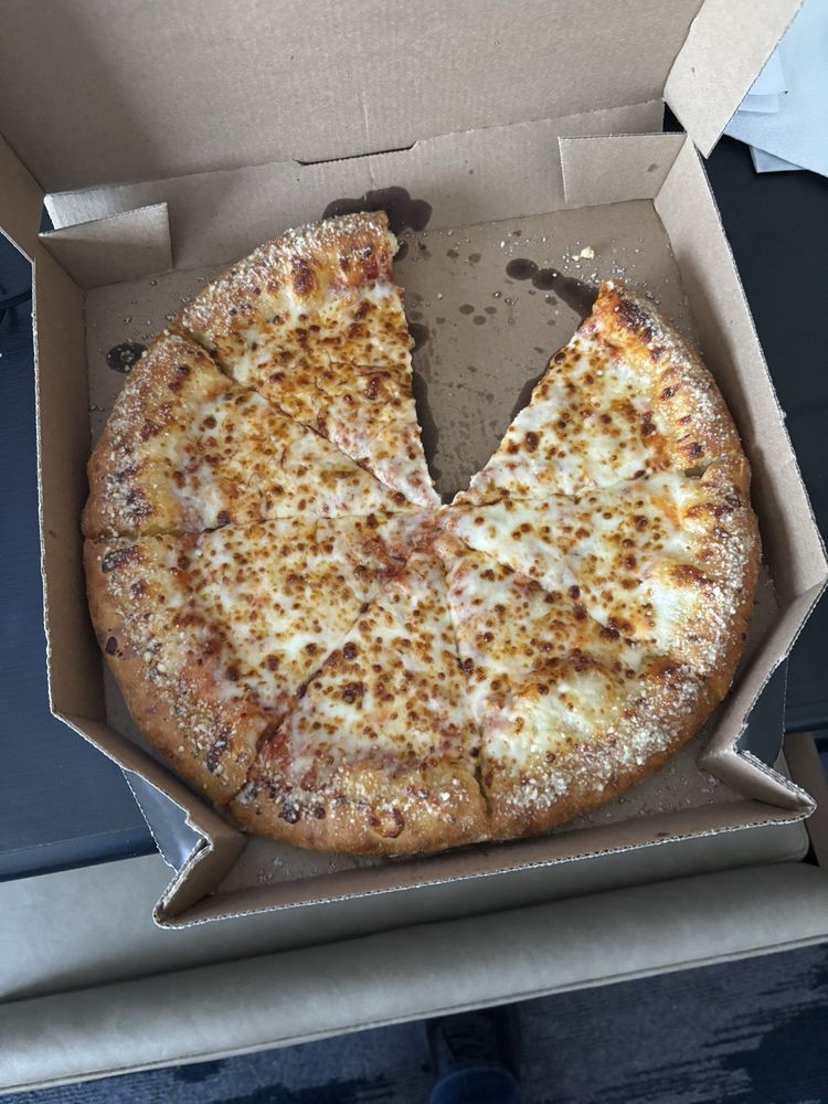 Domino's Pizza Logo
